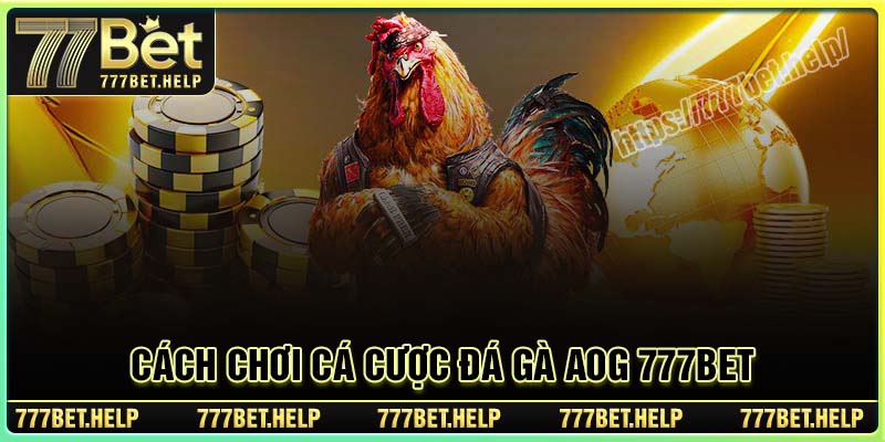 Cách chơi cá cược Đá Gà AOG 777BET đơn giản