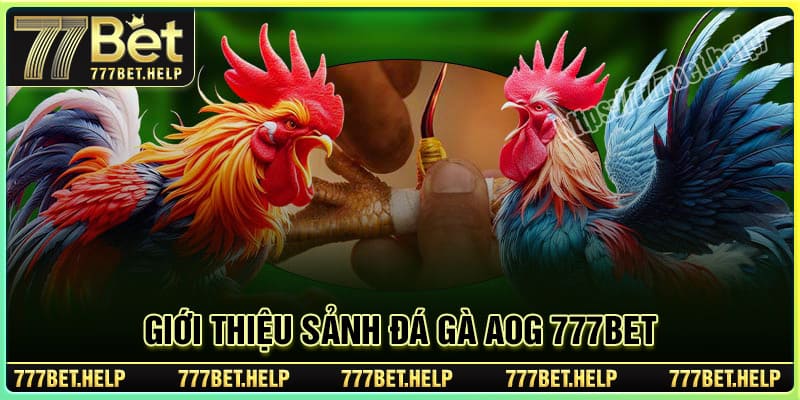 Đôi nét về sảnh AOG Đá Gà tại 777BET