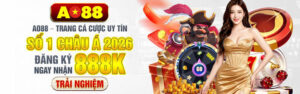 Đá Gà AO88 Theo Dõi Trường Đấu Trực Tuyến Kịch Tính
